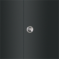 Flush Door Handle - 66mm - Stainless St